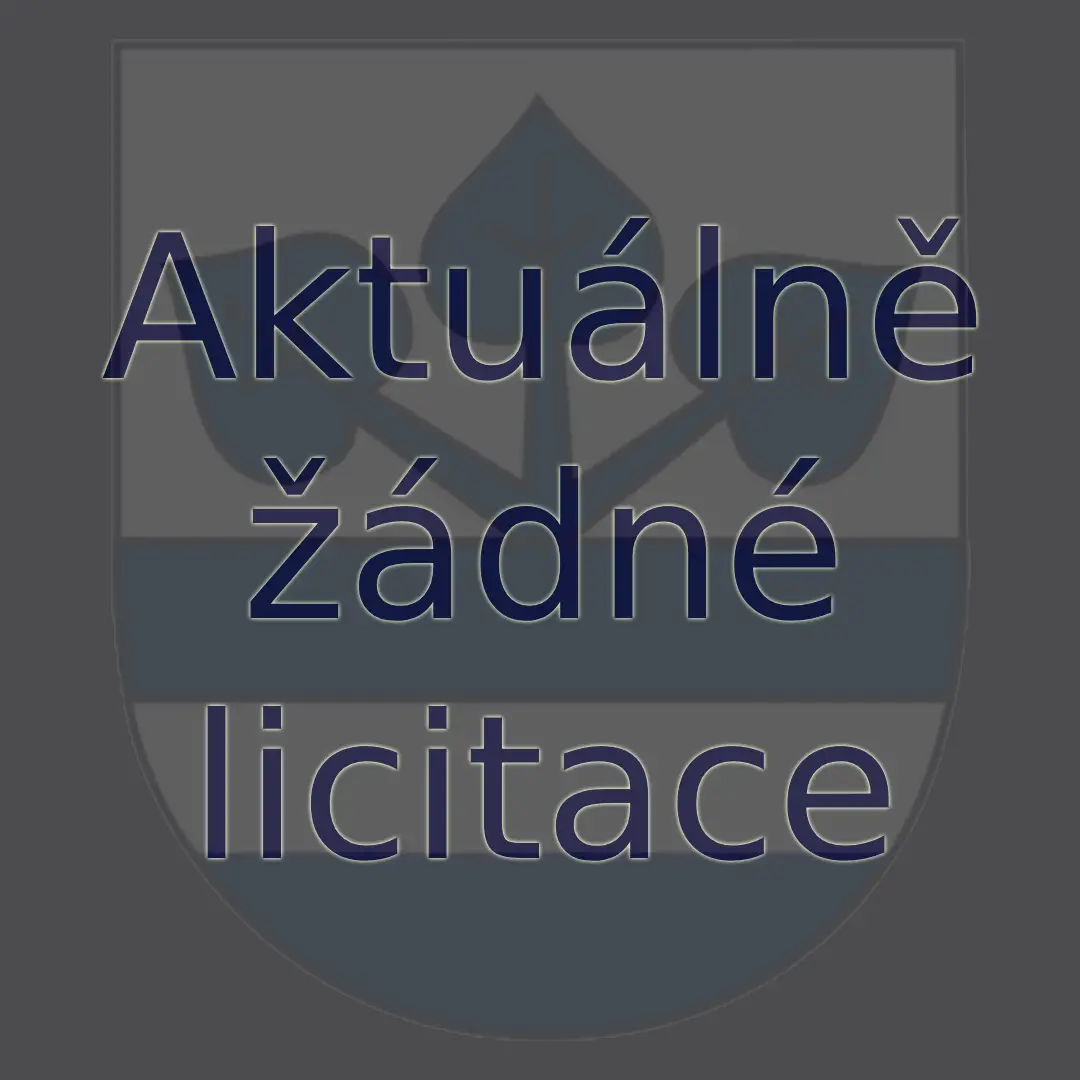 žádné licitace