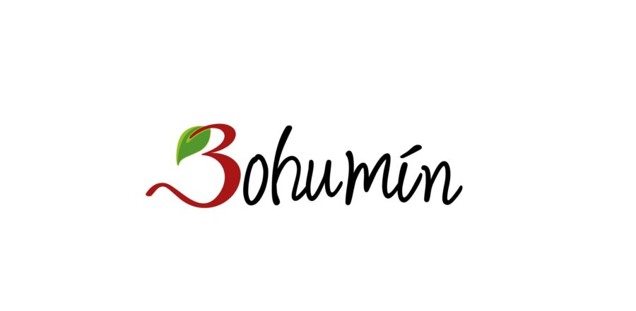 Bohumín - logo (nápis Bohumín) - ilustrační