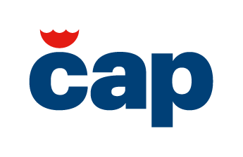 Logo České asociace pojišťoven